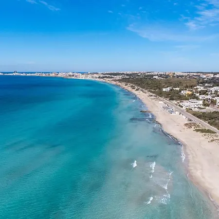 Stella アレーツィオ